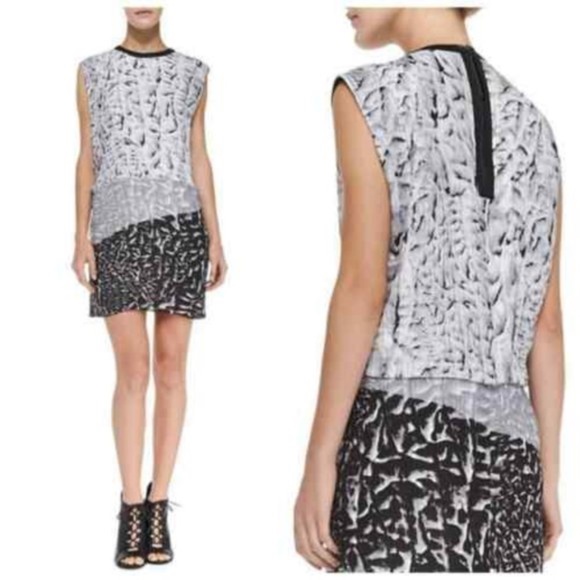 Helmut Lang Dresses & Skirts - Helmut Lang Silk Annex Printed Mini Dress